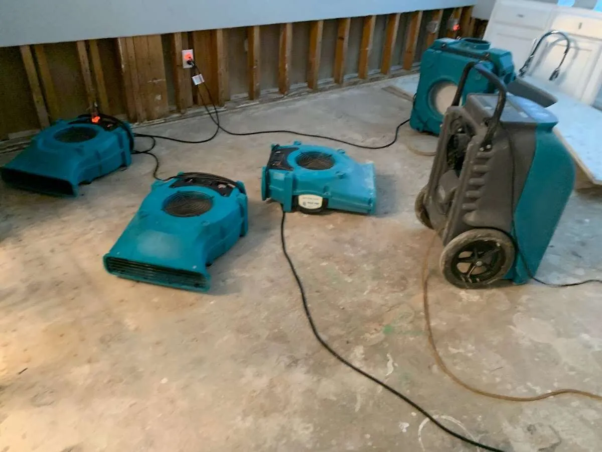 Water Damage Assessment in Burnt Mills, MD